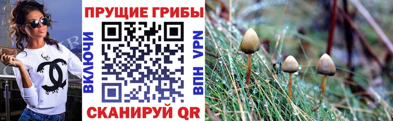 Галлюциногенные грибы мухоморы  Ангарск 