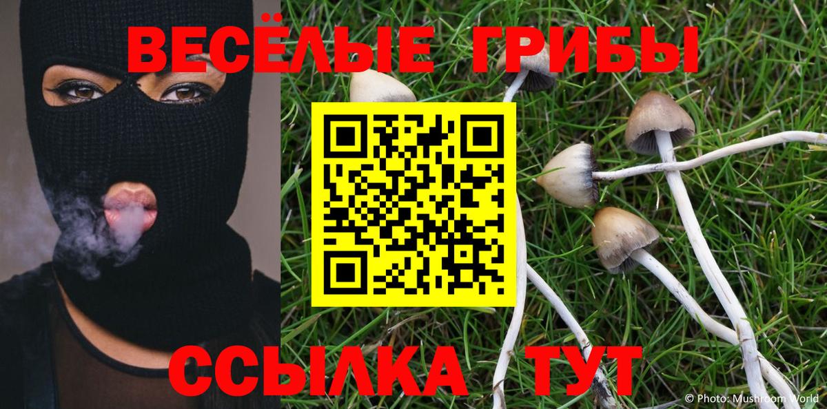 Галлюциногенные грибы прущие грибы  Вход с VPN  Ангарск 