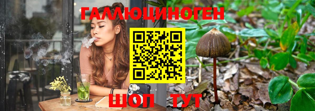 Галлюциногенные грибы прущие грибы  Галлюциногенные грибы Psilocybe  Ангарск  Вход с VPN 